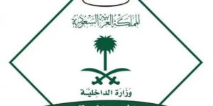 الجوازات تصدر (8,155) قرارًا إداريًا بحق مخالفين لأنظمة الإقامة والعمل وأمن الحدود - لايف نيوز