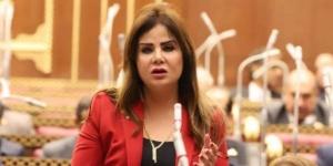 نائبة: مصر كانت على حافة الهاوية.. وخطاب 3 يوليو أنقذ الدولة من الانزلاق - لايف نيوز