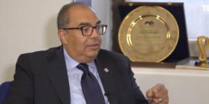 محيي الدين: ضرورة توسيع الشراكة بين القطاعين العام والخاص - لايف نيوز