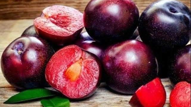 البرقوق