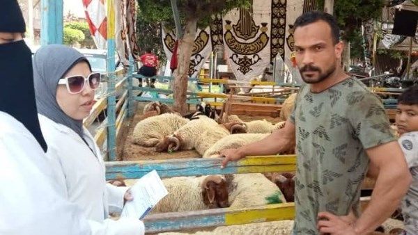 بورسعيد | حملة موسعة للتفتيش على الأسواق ومنافذ بيع الحيوانات والدواجن والأسماك بورسعيد | حملة موسعة للتفتيش على الأسواق ومنافذ بيع الحيوانات والدواجن والأسماك