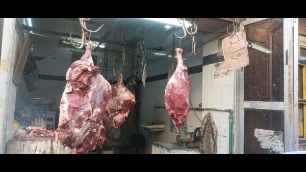 استعدادًا لعيد الأضحى.. حملات تموينية مكثفة وتحرير 156 محضرًا للمخالفين في أسوان استعدادًا لعيد الأضحى.. حملات تموينية مكثفة وتحرير 156 محضرًا للمخالفين في أسوان