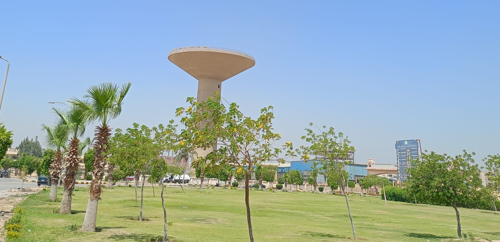 8bdfa00710.jpg