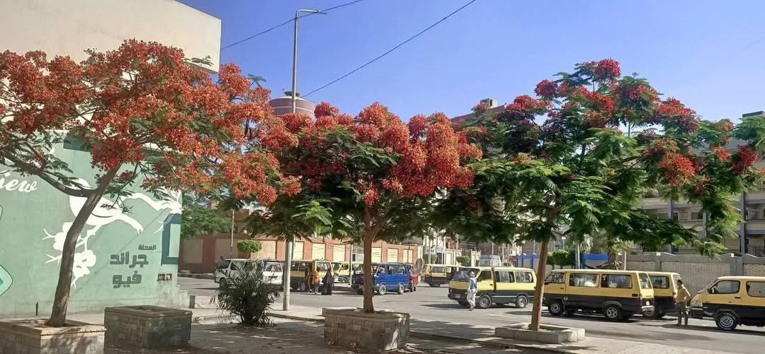 1236aec1a5.jpg