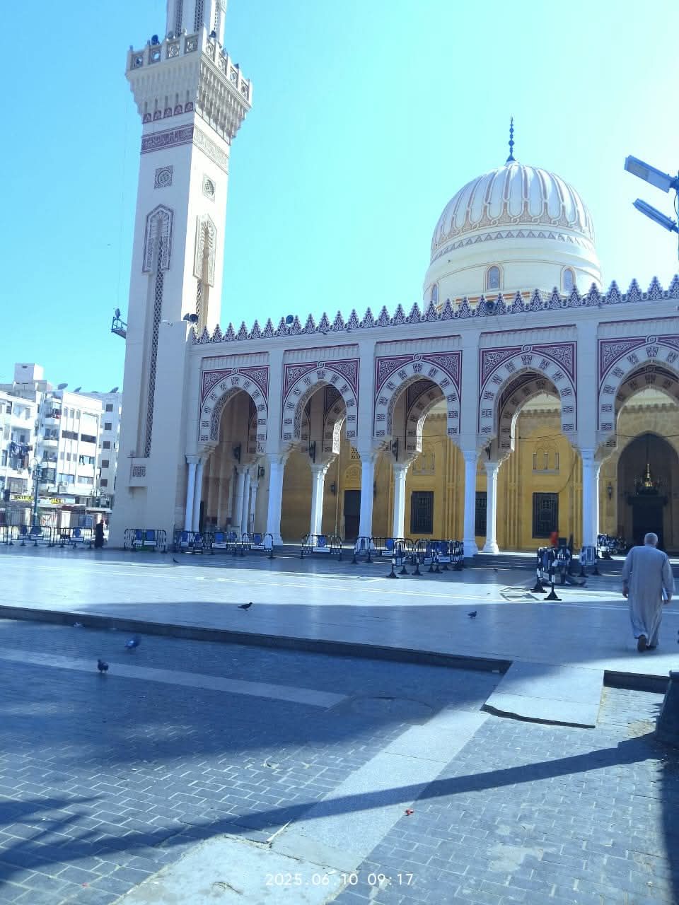 77c6a4d3a0.jpg