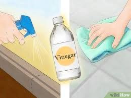 9f5b5fb5c1.jpg