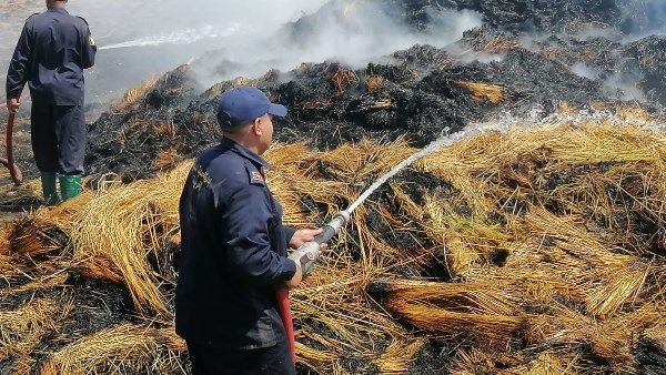 السيطرة على حريق في شونة كتان بالغربية.. صور السيطرة على حريق في شونة كتان بالغربية.. صور