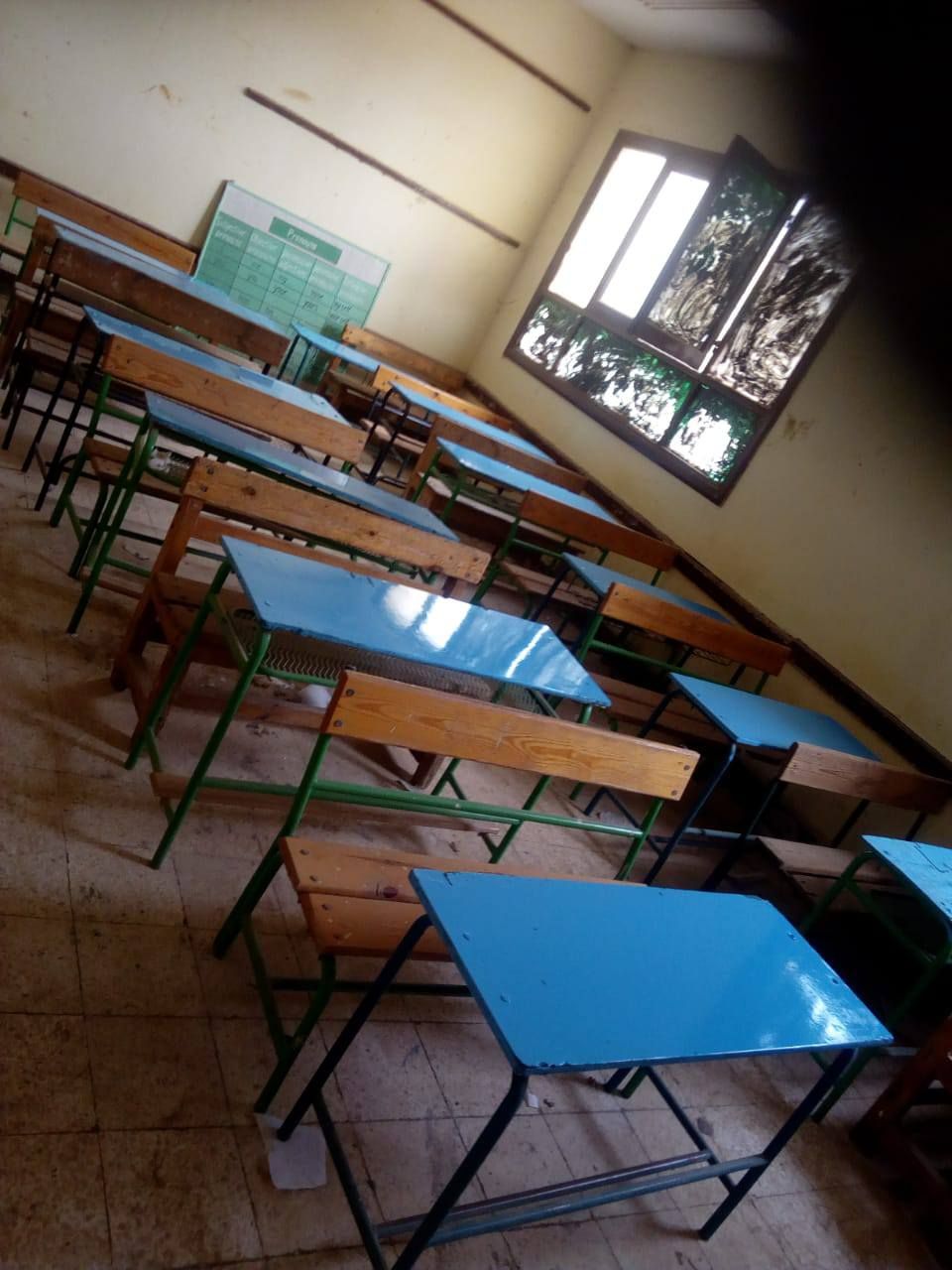 163651a8de.jpg