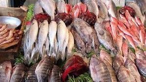 اسعار السمك اليوم