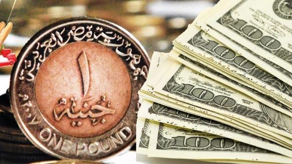 سعر الدولار اليوم في مصر أمام الجنيه الجمعة 13 يونيو 2025