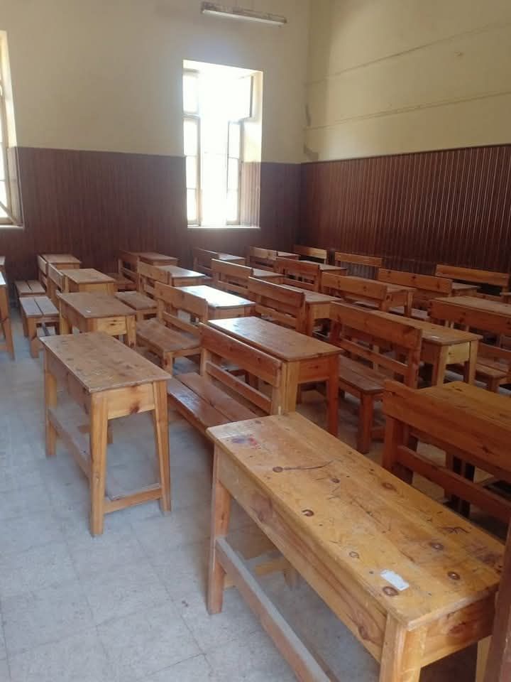 d383a05ffa.jpg