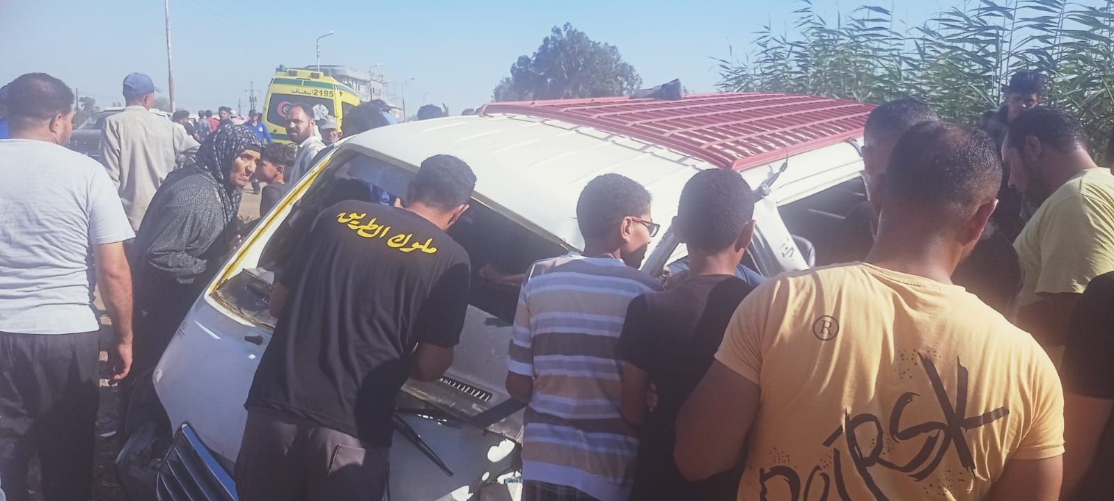 d4d14e5aed.jpg