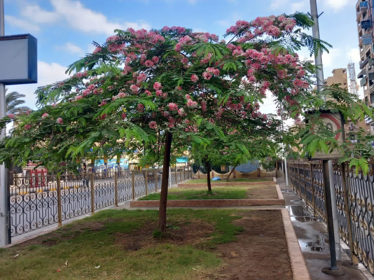 19fac31553.jpg