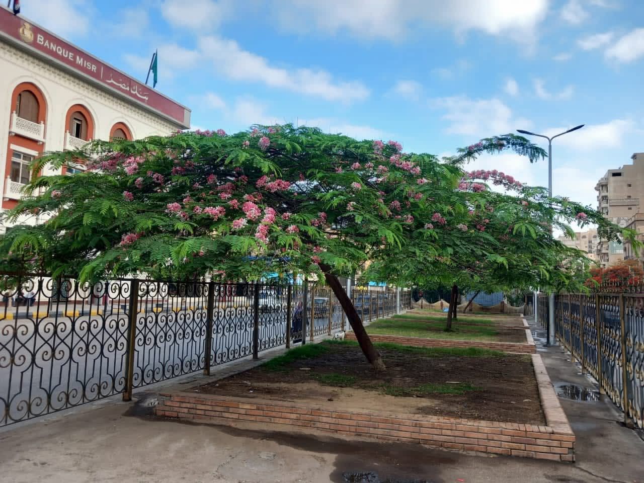 33c89612b0.jpg