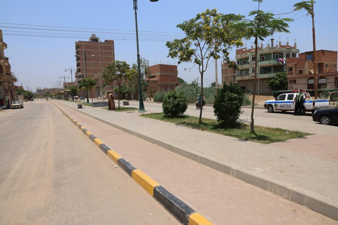 e6462d6c31.jpg