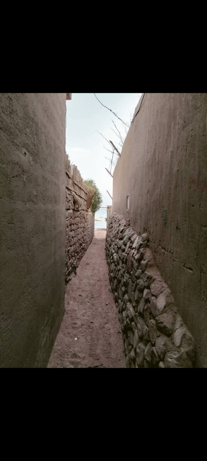 c3897333dd.jpg