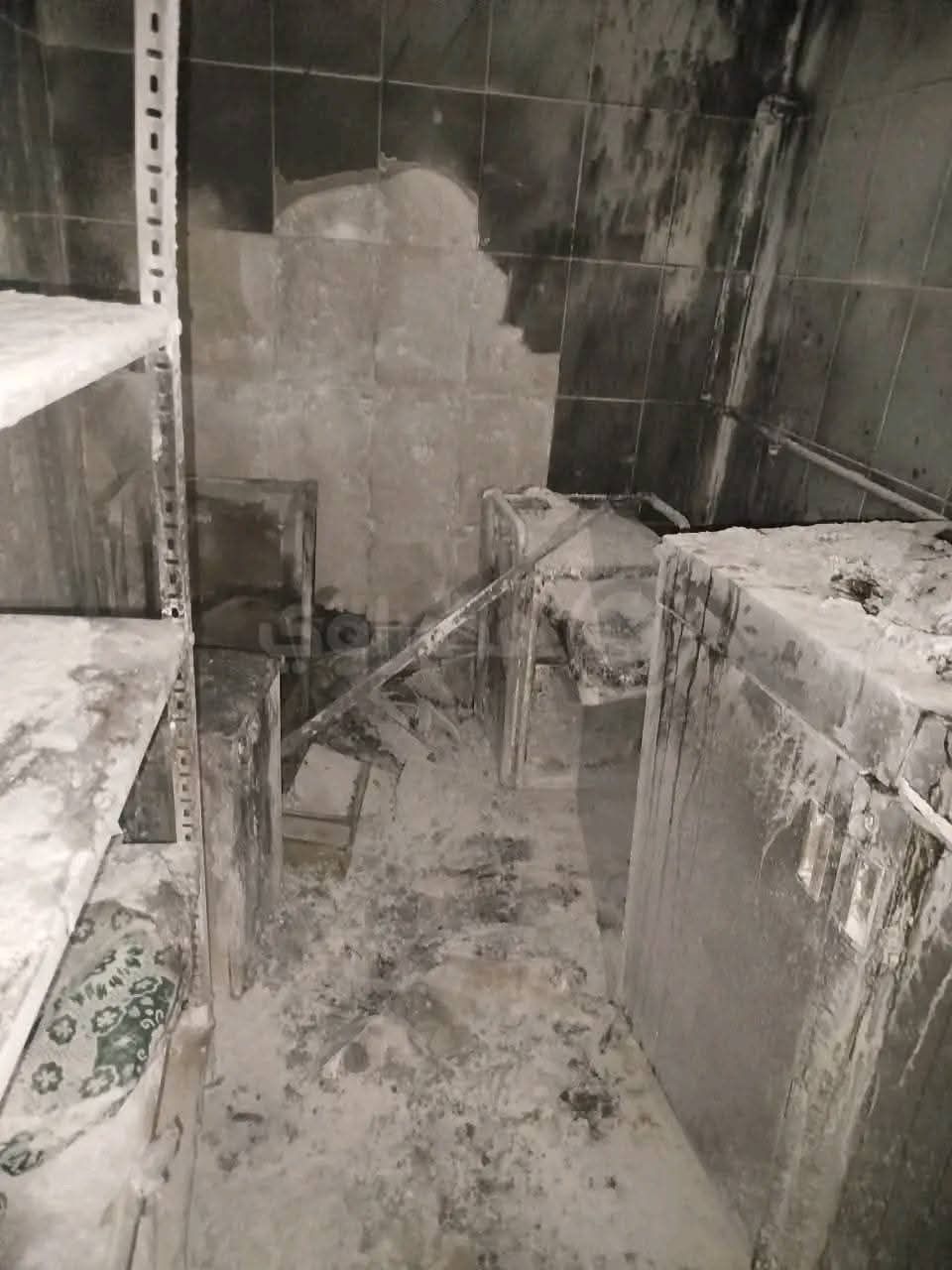 f711336537.jpg