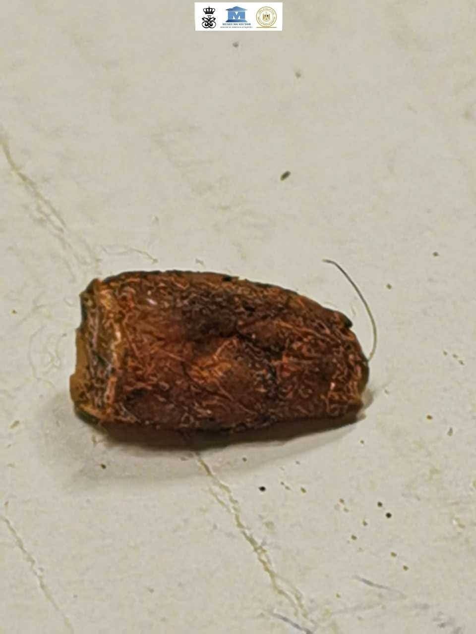 2a94d2e993.jpg