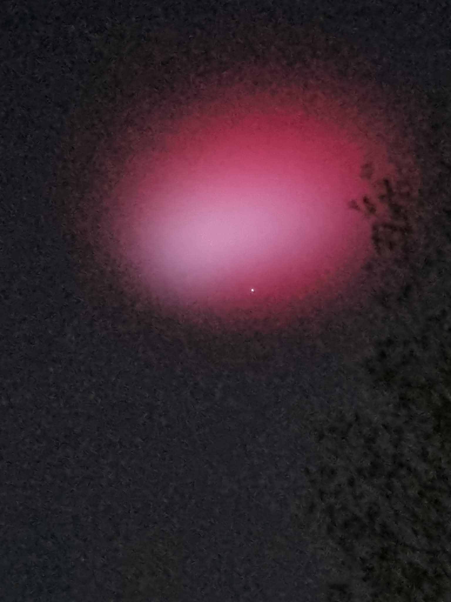 1c88188368.jpg