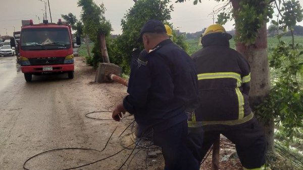 مصرع شاب سقطت عليه شجرة أثناء سيره بسبب الطقس السيئ في المنوفية