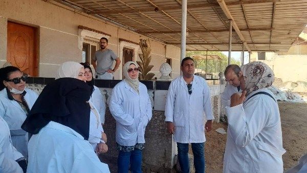 ورشة عمل للتدريب العملي على إجراء التحصينات السيادية لأطباء بورسعيد ورشة عمل للتدريب العملي على إجراء التحصينات السيادية لأطباء بورسعيد