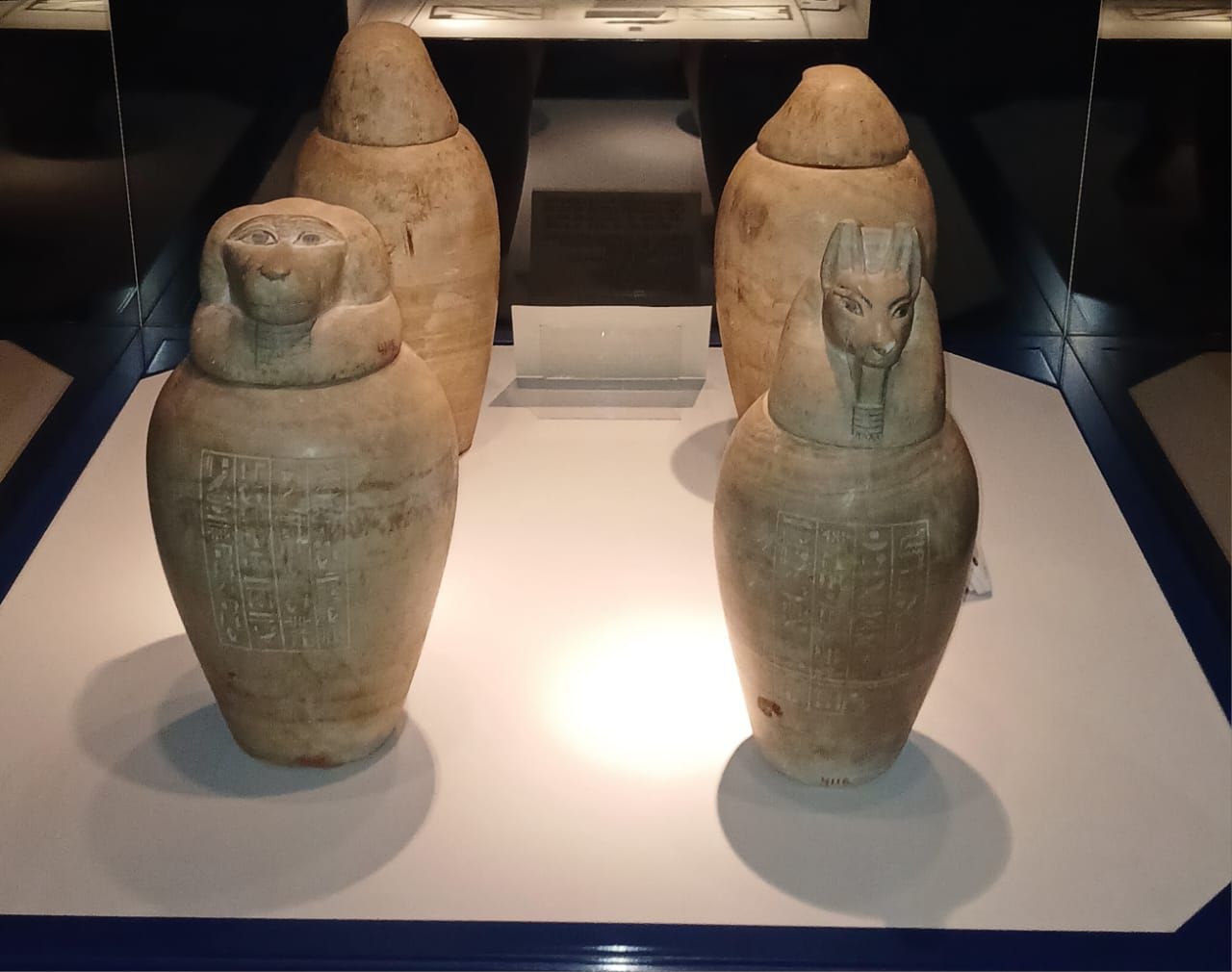 114c699975.jpg