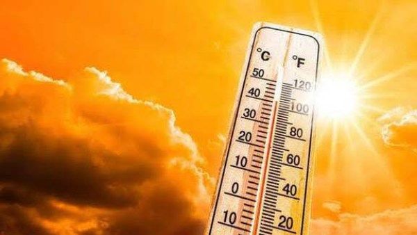 هيئة الأرصاد عن حالة الطقس غدا | شديد الحرارة .. وارتفاع نسب الرطوبة هيئة الأرصاد عن حالة الطقس غدا | شديد الحرارة .. وارتفاع نسب الرطوبة