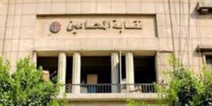 حيثيات حكم إلغاء عمومية المحامين بشأن زيادة رسوم الخدمات المميكنة - لايف نيوز