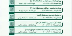 “بيئة مكة المكرمة” تطرح فرصًا استثمارية واعدة في القطاعين الزراعي والحيواني - لايف نيوز