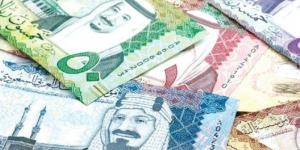 سعر الريال السعودي في البنك المركزي المصري اليوم 4-7-2025 - لايف نيوز