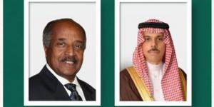 وزير الخارجية ونظيره الإريتري يستعرضان العلاقات الثنائية - لايف نيوز