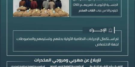 القبض على (13) مخالفًا لتهريبهم (260) كيلوجرامًا من نبات القات بجازان - لايف نيوز