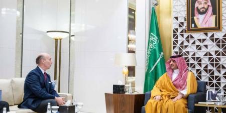 وزير الداخلية وسفير إسبانيا يبحثان «الاهتمام المشترك» - لايف نيوز