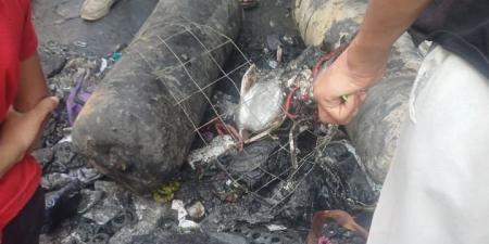 3محلات ومنزل.. انفجار أسطوانة غاز وراء حريق سوق فيصل.. صور - لايف نيوز