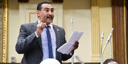 برلماني: قوة وحكمة السيسي أنقذت الوطن في 30 يونيو - لايف نيوز