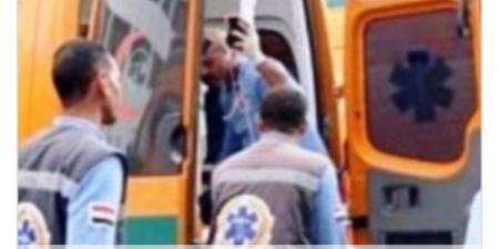 مصرع شخص تحت عجلات القطار خلال عبوره السكة الحديد فى أسوان - لايف نيوز