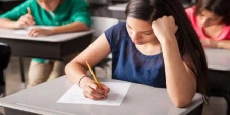 قبل انطلاق الامتحانات المضافة للمجموع.. هل توجد أسئلة للطلاب المتميزين؟ - لايف نيوز