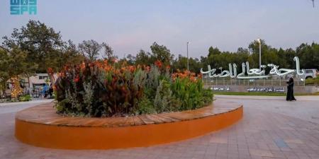 صيف الباحة.. فعاليات متنوعة وتجربة ترفيهية متكاملة للزوار - لايف نيوز
