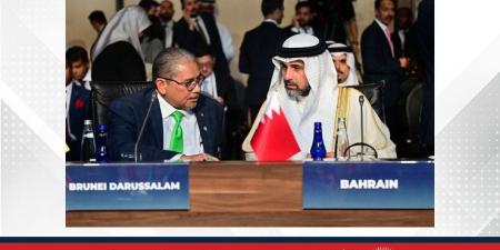 وكيل وزارة الخارجية للشؤون السياسية يشارك في الاجتماع الحادي والخمسين لمجلس وزراء خارجية منظمة التعاون الإسلامي - لايف نيوز