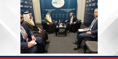 وكيل وزارة الخارجية للشؤون السياسية يجتمع مع نائب وزير خارجية الجمهورية التركية - لايف نيوز