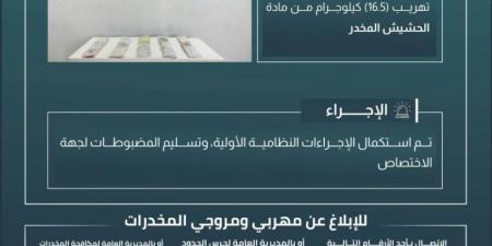 حرس الحدود بجازان يحبط تهريب 16.5 كيلوجرامًا من مادة الحشيش المخدر - لايف نيوز