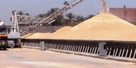 أخبار أسوان: ندوات لترشيد الكهرباء.. ومتابعة لتوريد القمح وإزالة التعديات - لايف نيوز