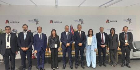 وزير قطاع الأعمال يدعو المستثمرين المغاربة للتوسع في السوق المصري - لايف نيوز
