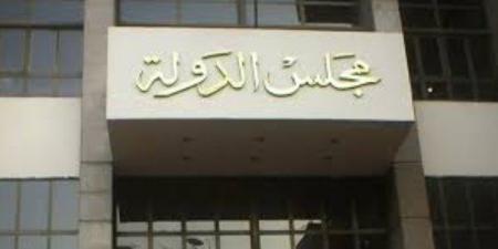 مع تكرار انهيار العقارات .. مجلس الدولة : لابد مطابقة المباني مع الرسومات لوقاية وسلامة الجيران - لايف نيوز