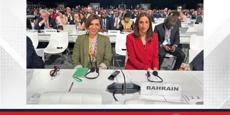 وزيرة التنمية المستدامة الرئيس التنفيذي لمجلس التنمية الاقتصادية تشارك في أعمال المؤتمر الدولي الرابع لتمويل التنمية(FfD4) في مدينة إشبيلية - لايف نيوز