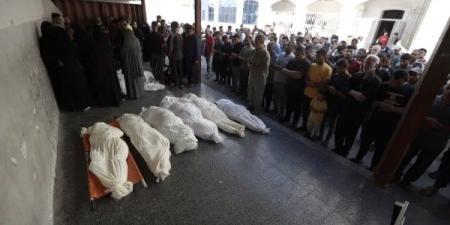 مصادرة ضخمة لأراضي الفلسطينيين تهدد قيام الدولة.. و70 شهيدا في غزة خلال ٢٤ ساعة - لايف نيوز