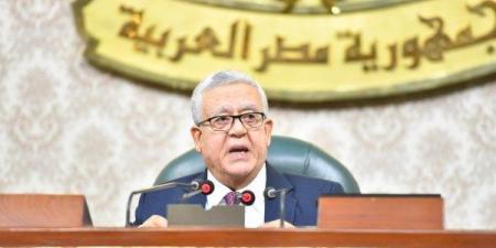 جبالي: عدم حضور وزير الاتصالات لاجتماع اللجنة اليوم يشكل مسئولية وزارية - لايف نيوز