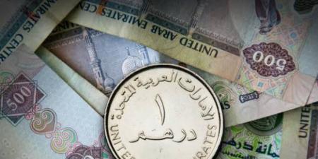 سعر الدرهم الإماراتي أمام الجنيه المصري في 5 بنوك اليوم الثلاثاء - لايف نيوز