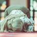 متى ينتهي وقت صلاة الضحى في مصر؟.. الإفتاء توضح - لايف نيوز