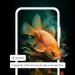 أدوبي تطلق تطبيق Firefly على الهواتف الذكية بنظامي أندرويد و iOS - لايف نيوز